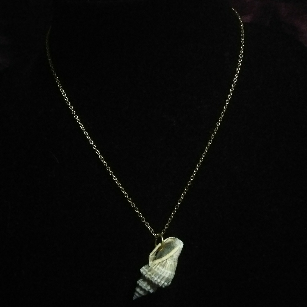 Natural Florida shell necklace in gold tone